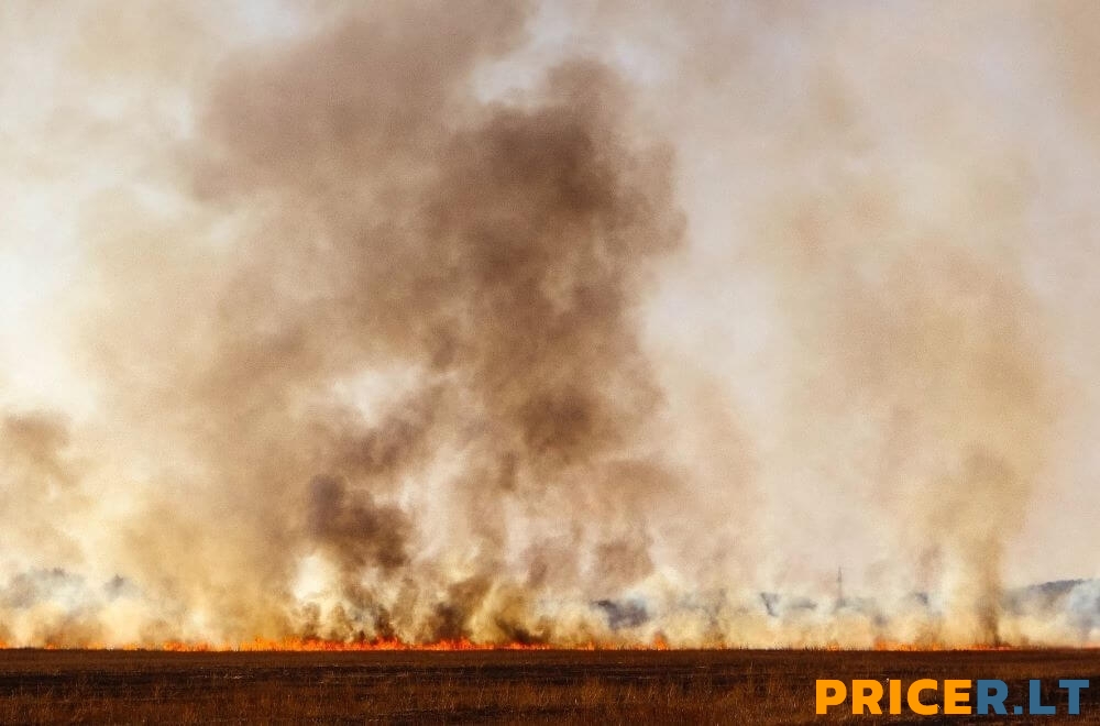PRICER.LT BALANDŽIO MAISTO KAINŲ TYRIMAS: BALANDIS TĘSIA KAINŲ REKORDUS. KADA TAI PASIBAIGS? PRICER.LT BALANDŽIO MAISTO KAINŲ TYRIMAS: BALANDIS TĘSIA KAINŲ REKORDUS. KADA TAI PASIBAIGS?